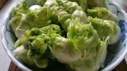 儿菜(抱子芥)--生长非常奇特、营养价值高的蔬菜