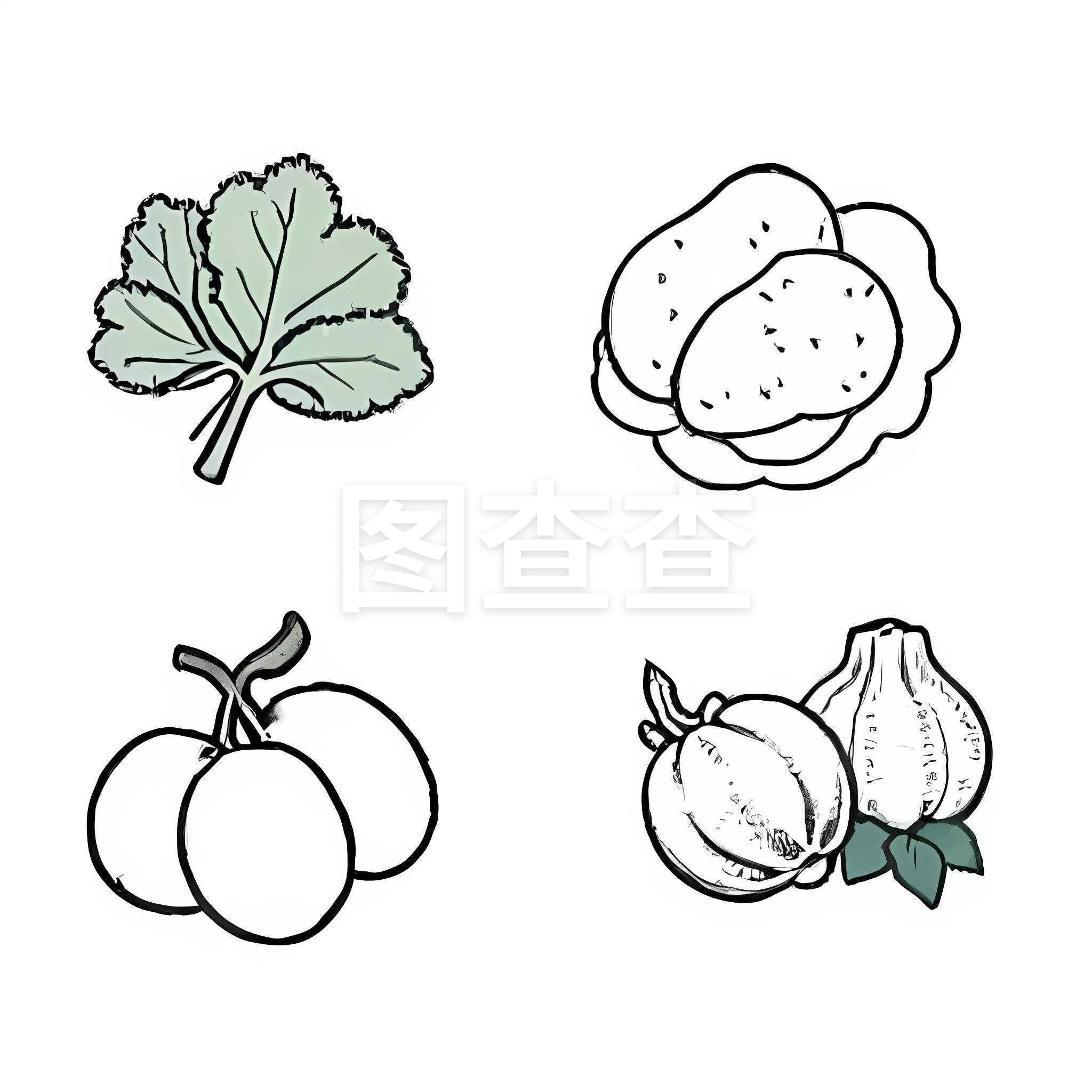 简笔画蔬菜 趣味描绘自然之色